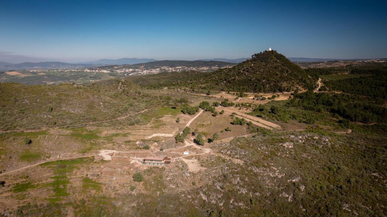 Bonelli House Villa Alijó Dış mekan fotoğraf